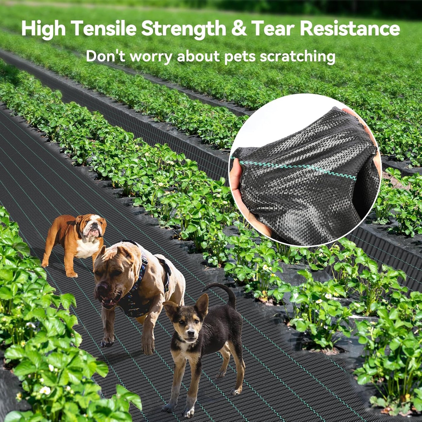 2.6ftx100ft Weed Barrier Landscape 3.2oz Fabric Heavy Duty, Woven Weed Control Cloth, Woven Geotextile Fabric for Underlayment, Gardening Ground, Commercial Driveway Weed Block Cover Mat