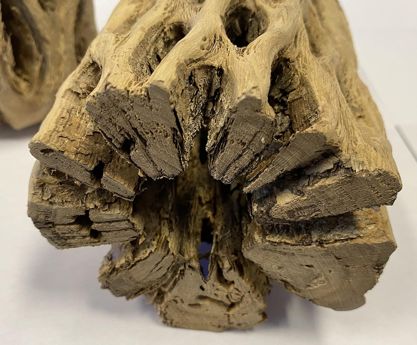 Awesome Aquatic 6 in x 2-3” Thick XL Teddy Bear/Chain Fruit/Buckhorn/Staghorn Cholla Wood Hollow Tube Wood Cactus Skeleton Tubes Thick/Diameter (6 in x 2-3 in Diameter)