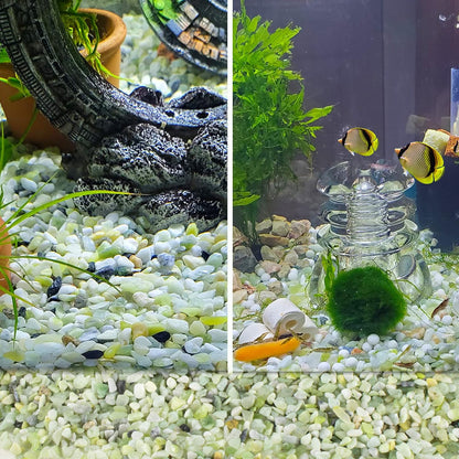 18lb Natural Gravel for Aquarium Succulents Bonsai Terrarium Fish Tank,1/5" Decorative Stone for Plants Indoor