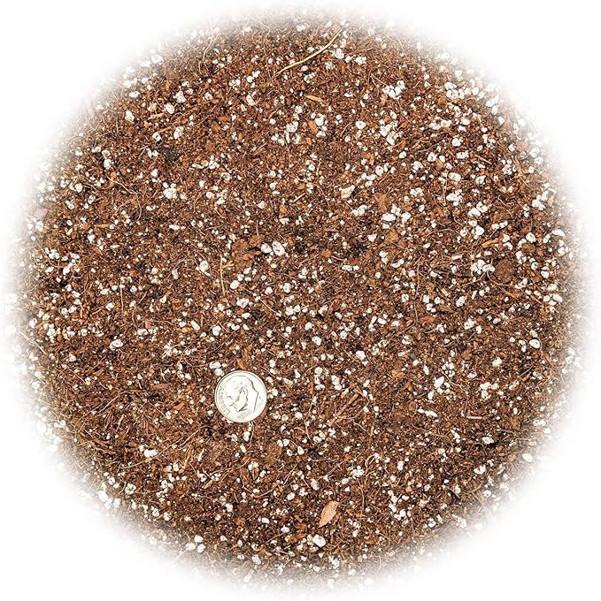 Gardenera Premium Raspberry Potting Soil Mix - Optimal Blend for Thriving and Juicy Berries - 20 Quart