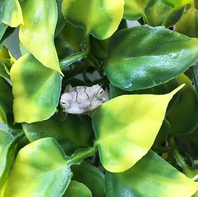 Exo Terra Plastic Terrarium Plant, Large, Mandarin