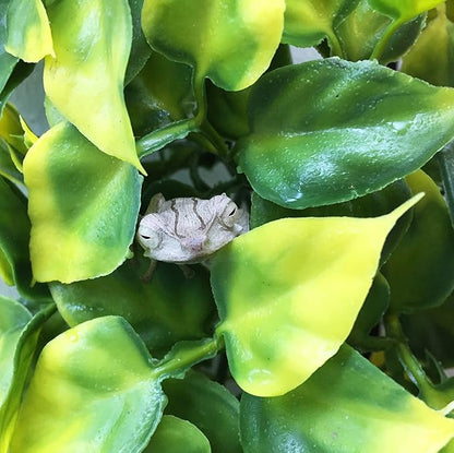 Exo Terra Plastic Terrarium Plant, Large, Mandarin