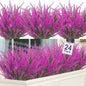 Ouddy Decor 24 Bundles Artificial Lavender Fake Flowers Faux Plastic Plants for Home Wedding Kitchen Garden Patio Window Box Office Table Centerpieces Indoor Outdoor Decor, Fuchsia