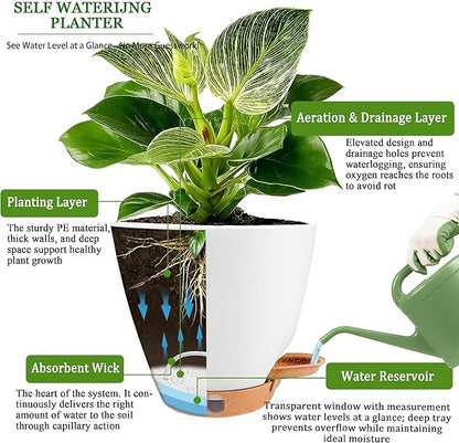 6 Inch Self Watering Pots for Indoor Plants (5-Pack) – Small Plastic Planters with Water Window, Drainage Holes & Trays, Indoor Outdoor Flower Pots for Herbs, Succulents, Home Garden Decor (White)