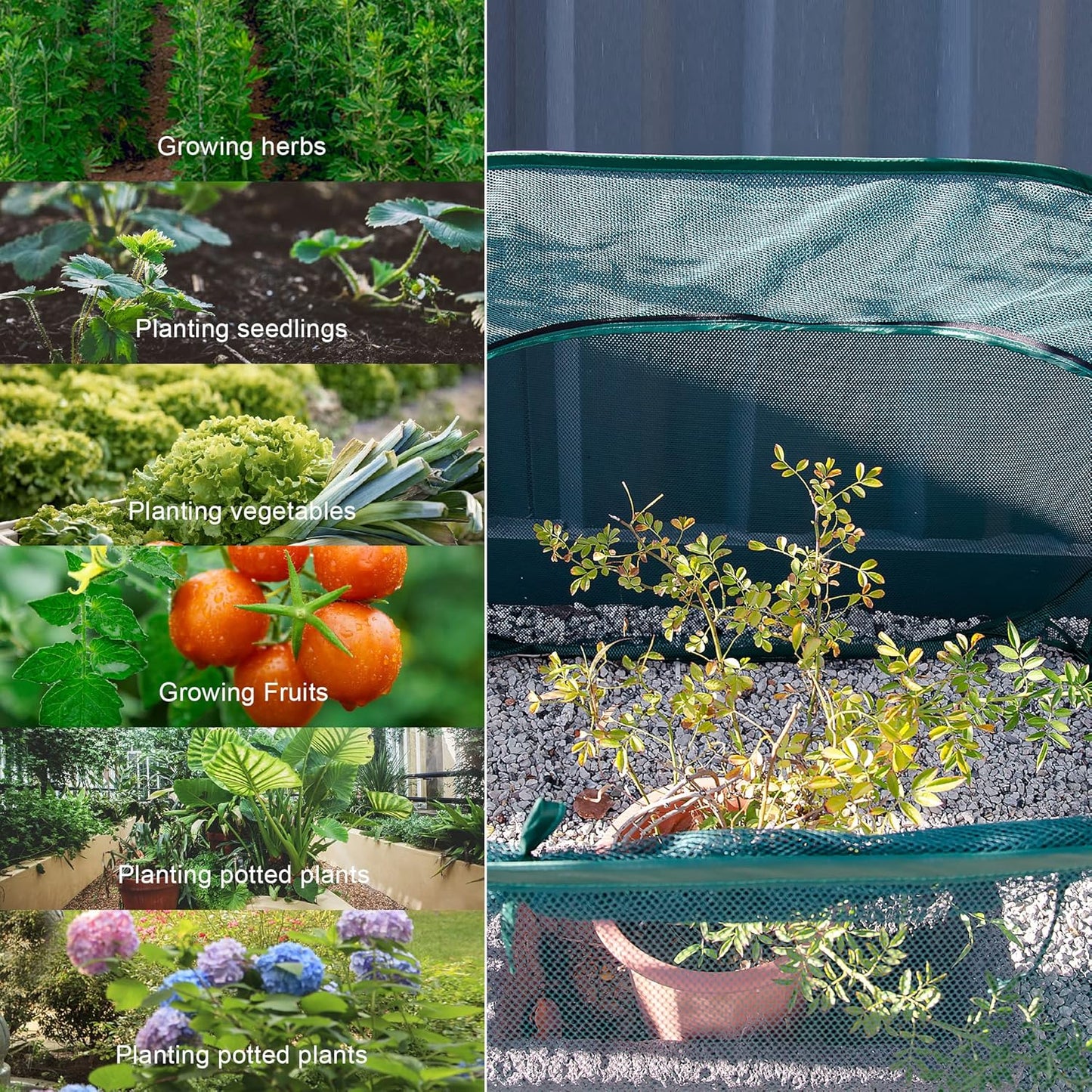 3 Pack Pop Up Mesh Plant Cover, Plant Protector for Raised Garden & Flower Bed, Net Cage Plant Guard for Fruits, Vegetables, Seedlings and Herbs, 8 Ground Stakes for Fixing.