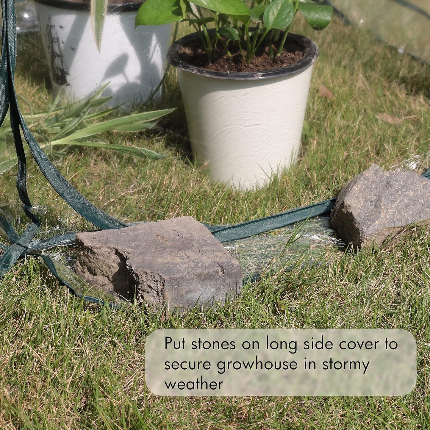 Gardzen 27"x27"x31" Pop up Grow Greenhouse Small Greenhouse, Portable Plant Flowers Mini Green House Cover for Outdoor & Indoor Use