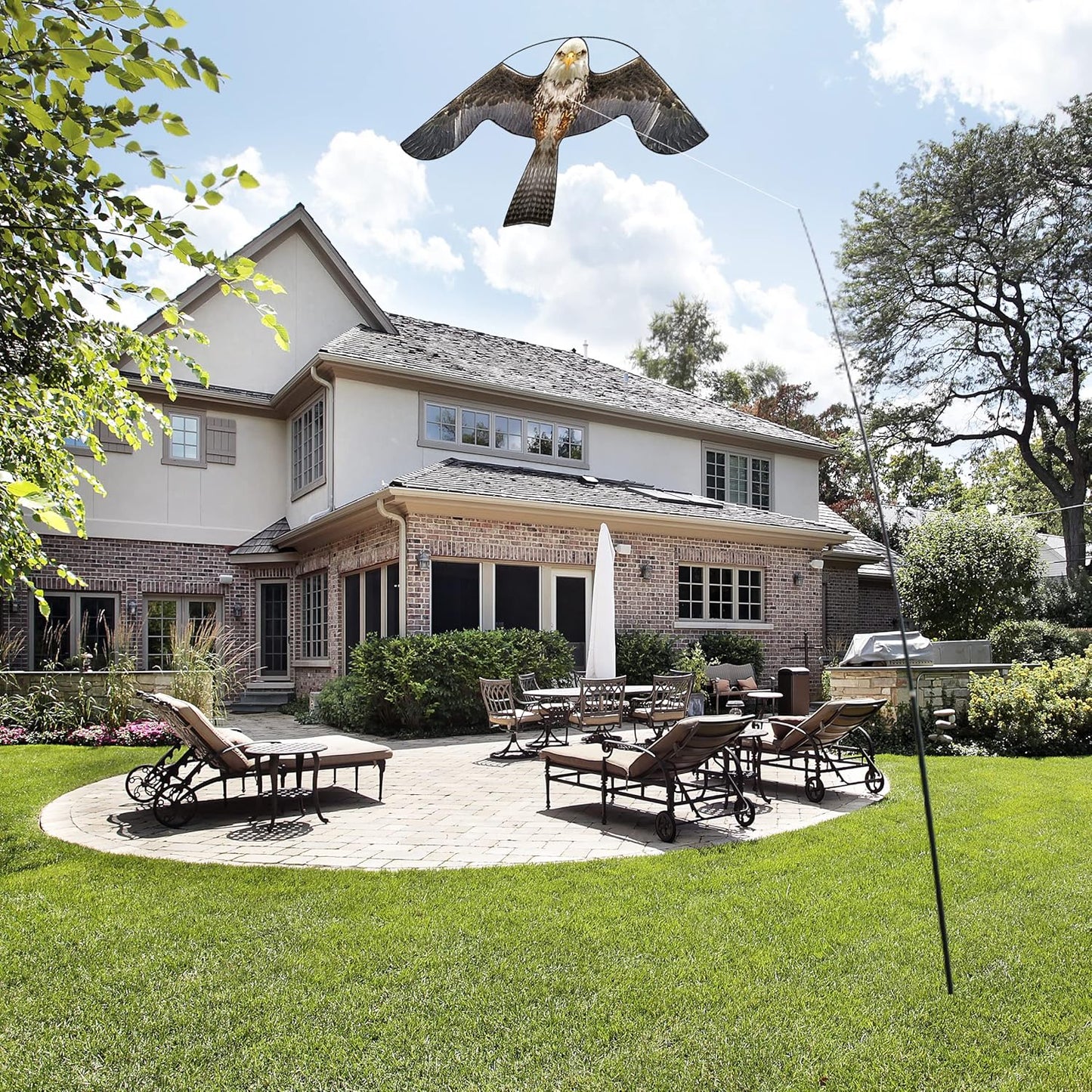 Bird Hawk Flying Kite for Crops Farm Protector Bird Scarer Kites Without Pole-Style B Kite